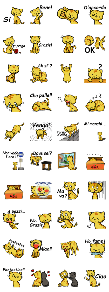 Cat Punch (Italian Ver.)