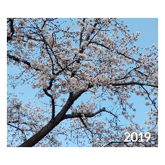 Hayato_20200322152814