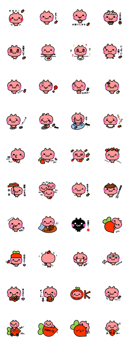 I am not a rabbit I am not a rabbit