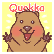 Quokka Family