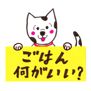 Message from the dog