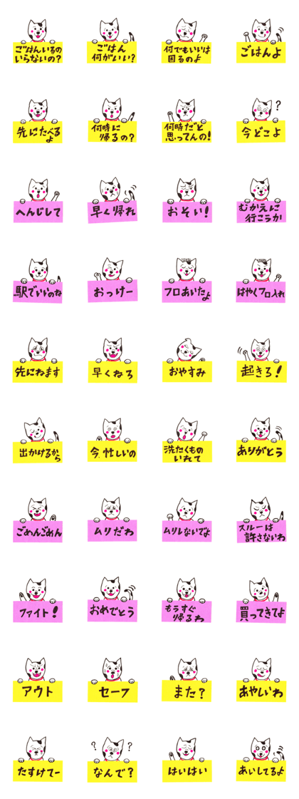 Message from the dog