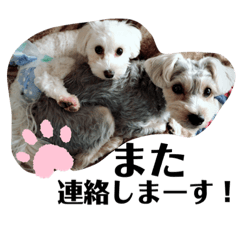 asuka_20200322175345