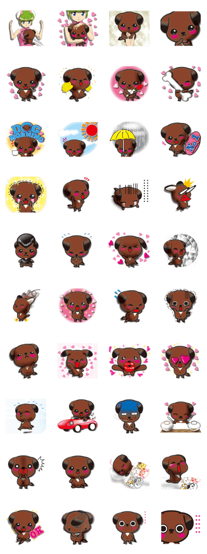 ryukyu dog international