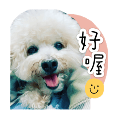 Qb小王子