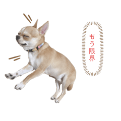 HANA_20200322184844