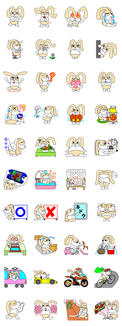 JIN-JIN Rabbit Life