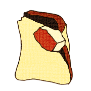 Bread was dwelled emotion