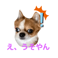Marumaru_20200322194442