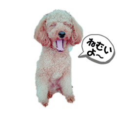 asuka_20200322195251