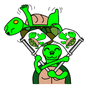 JIN-JIN Turtle Life