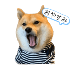 Mizuki_20200322210648