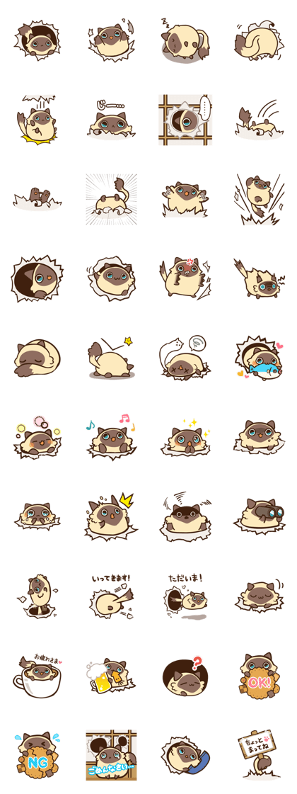 Siamese Cat Bon