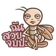 Lady The Cockroach (Thai)