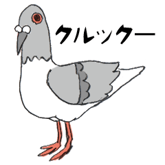 Pigeon-chan