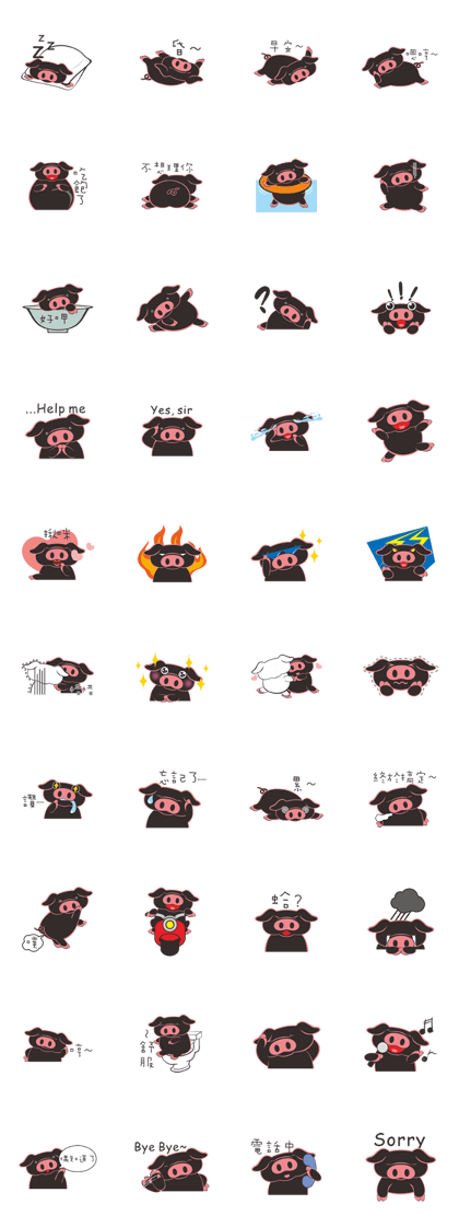 Little Black Pig