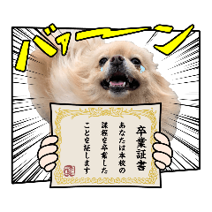 abcdefg_20200322131614