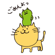 cat beans