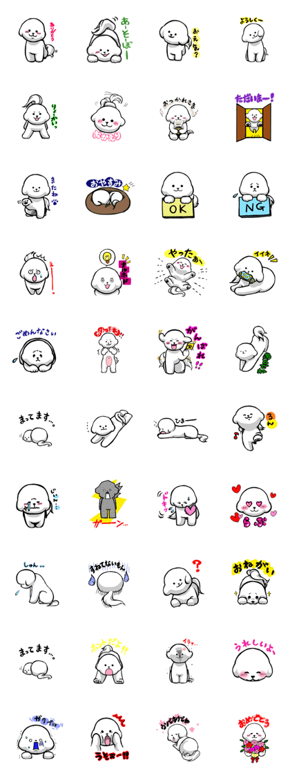 Hello! I am Bichon Frise
