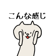 Conversation of loose cat
