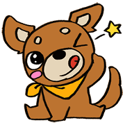 Genki Chihuahua