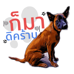 Luksorn - Thai Ridgeback Dog