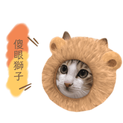 ☻黑糖麻奇躲☻