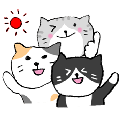 The real stray cat trio