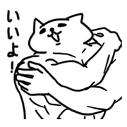 WELL-MUSCLED CAT