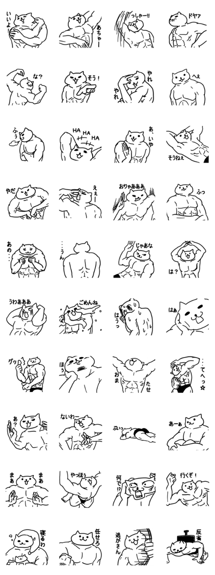 WELL-MUSCLED CAT