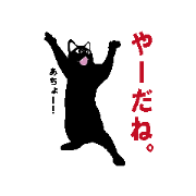 Black cat uni