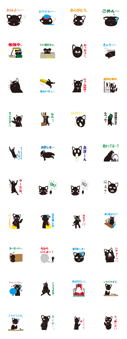 Black cat uni