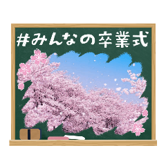 cherry blossom graduate&admission