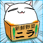 KAWAII Funny Cat