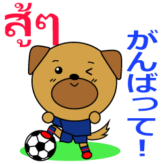 Thai Football Dog