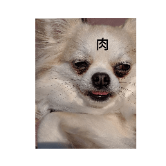 mimi_20200322225629