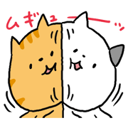 Red tabby cat and Bicolors cat
