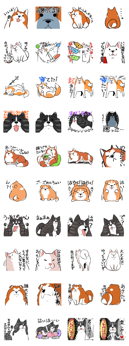 Loose Akita dog