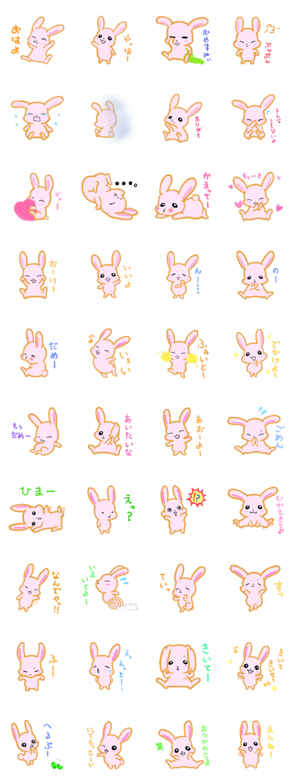 cute and sweet rabbit