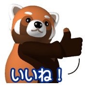 Fat red panda