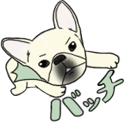 Batchie the super frenchie