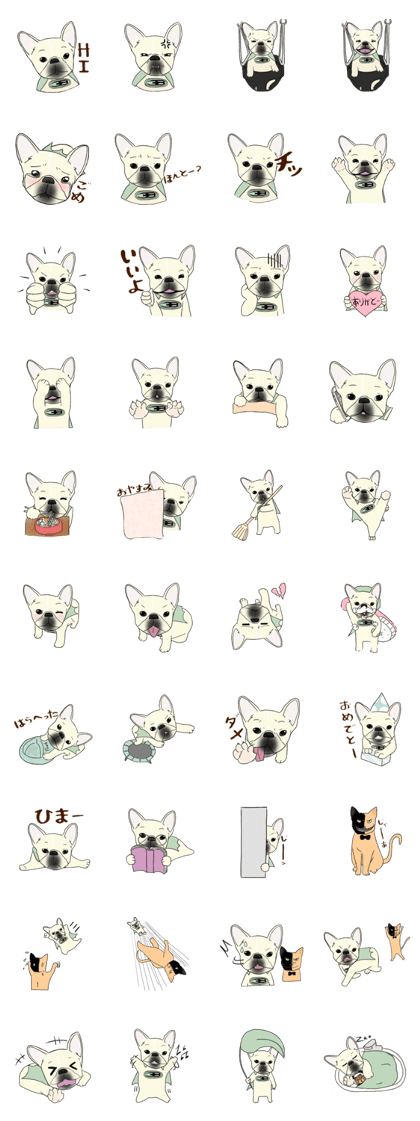 Batchie the super frenchie