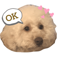 nozomi_20200322205703