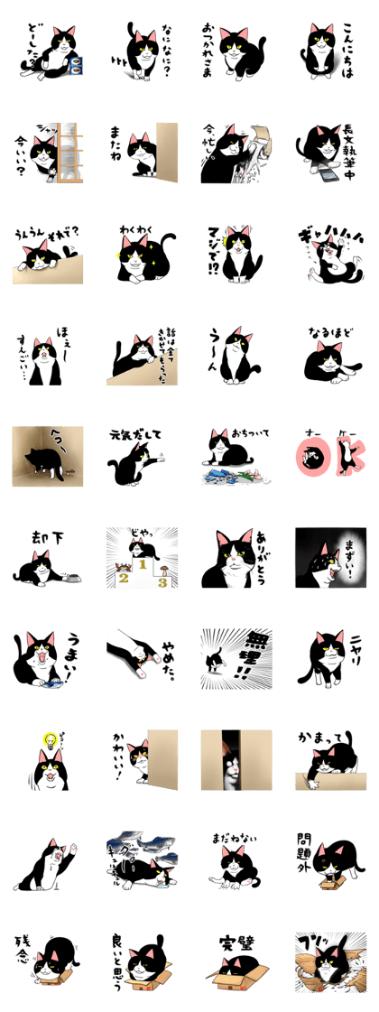 A little fat cat 2