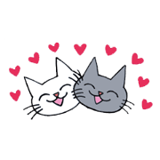 Cat's the NYACCHI