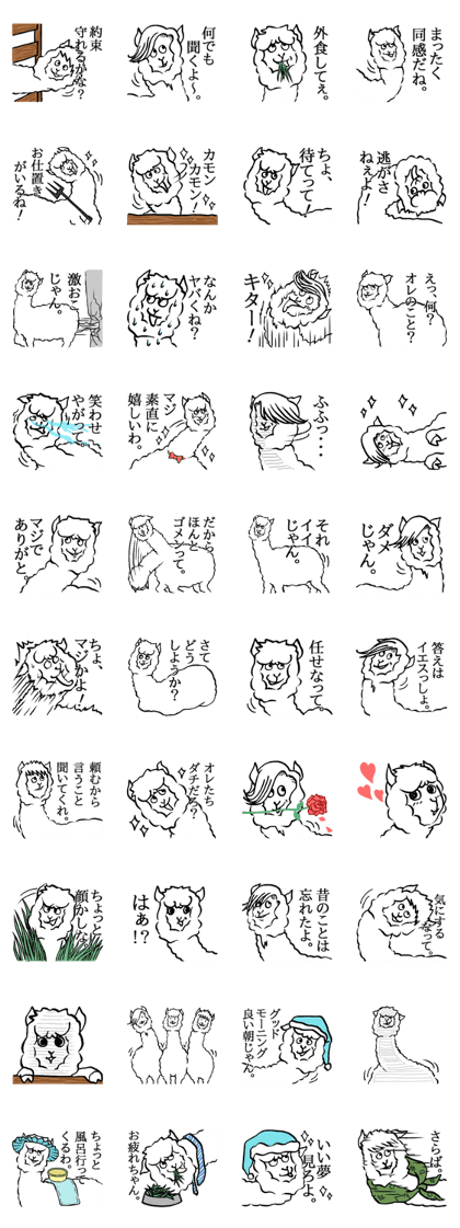 Nice guy Alpaca