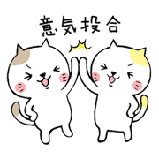 Four characters phrase cats