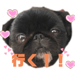 chie_20200323065655