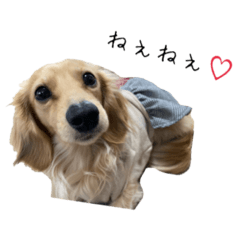 riho_20200322234414