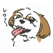 Shih-Tzu-FUKU